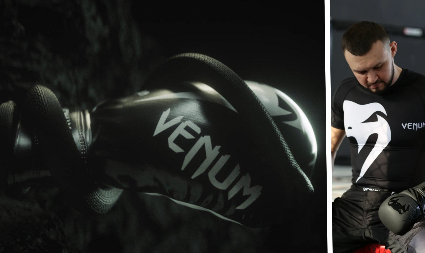 venum shoes